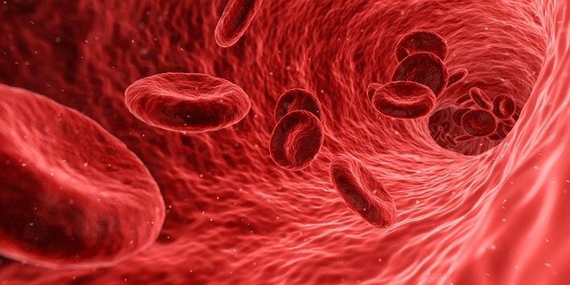 Study examines miRNA biomarkers for ALS using plasma from Innovative Research