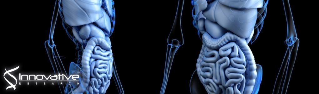 Mutual Regulation of TLR/NLR and CEACAM1 in the Intestinal Microvasculature: Implications for IBD Pathogenesis and Therapy