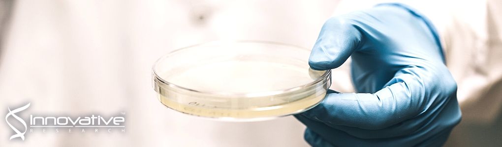 Daratumumab binds to mobilized CD34+ cells of myeloma patients in vitro without cytotoxicity or impaired progenitor cell growth