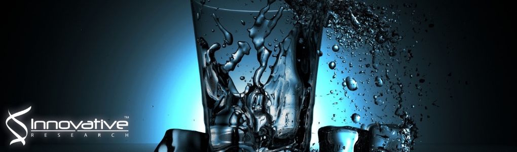 Development of a Fast and Efficient Liposomal Drug Loading Technology for Poorly Water Soluble Drugs: Formulation, Characterization, and Potential Applications
