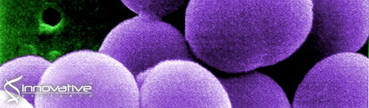 A High-Throughput Screening Approach To Repurpose FDA-Approved Drugs for Bactericidal Applications against Staphylococcus aureus Small-Colony Variants