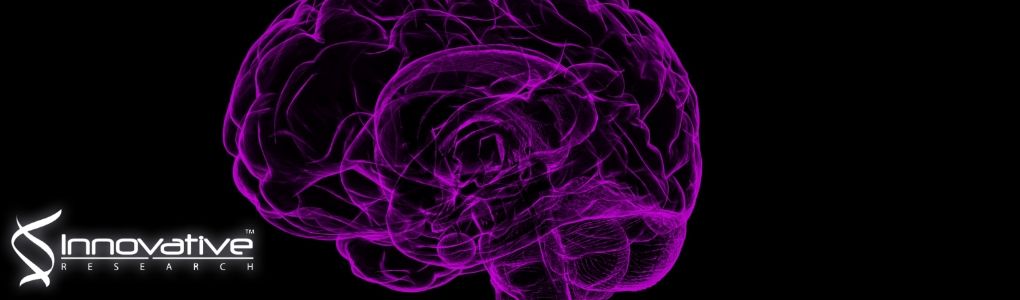 Quantification of brain-derived extracellular vesicles in plasma as a biomarker to diagnose Parkinson's and related diseases