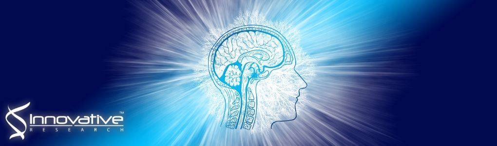 CMV and EBV targets recognized by tumor-infiltrating B lymphocytes in pancreatic cancer and brain tumors