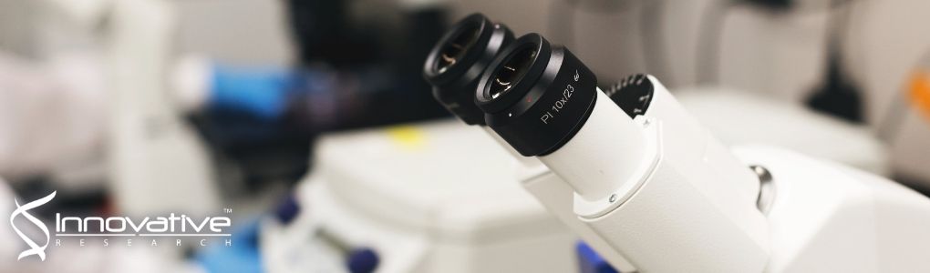 A proteome-wide screen of Campylobacter jejuni using protein microarrays identifies novel and conformational antigens