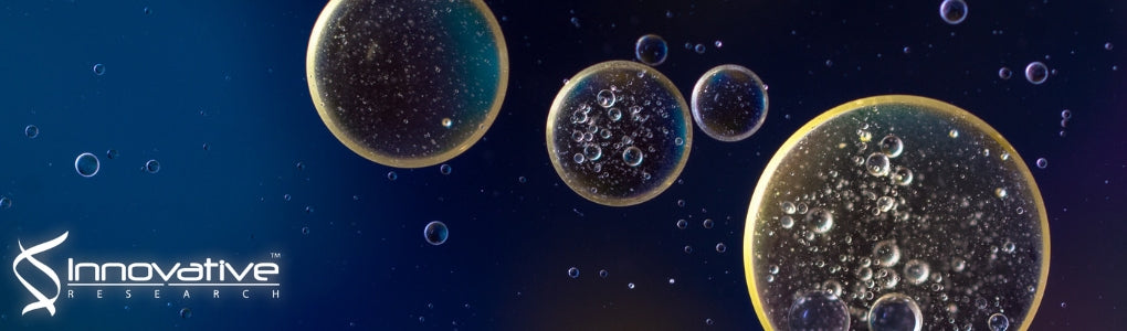 Presence of Round Cells Proteins do not Interfere with Identification of Human Sperm Proteins from Frozen Semen Samples by LC-MS/MS