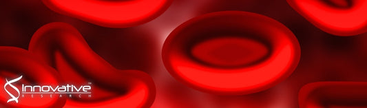 Population history with invasive predators predicts innate immune function response to early life glucocorticoid exposure