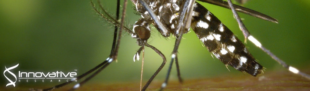 Highly Sensitive and Selective Direct Detection of Zika Virus Particles in Human Bodily Fluids for Accurate Early Diagnosis of Infection