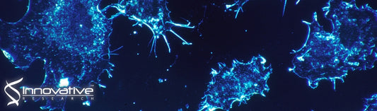 Oligo(Lactic Acid)8-Rapamycin Prodrug-Loaded Poly(Ethylene Glycol)-block-Poly(Lactic Acid) Micelles for Injection