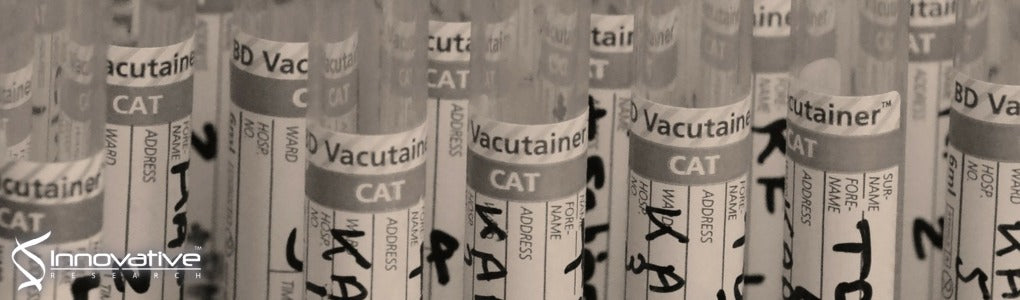 A Systematic Study of the In Vitro Pharmacokinetics and Estimated Human In Vivo Clearance of Indole and Indazole-3-Carboxamide Synthetic Cannabinoid Receptor Agonists Detected on the Illicit Drug Market