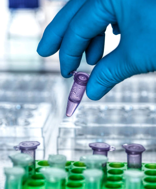 IgG Preparations in Research
