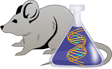 Transgenic Mouse Research Models – Innovative Research