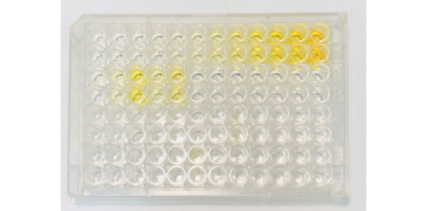 Elisa Plate Array Biotech General FAQs | Innovative Research