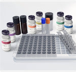 Human Interleukin 13 Chemiluminescent Immunoassay Kit