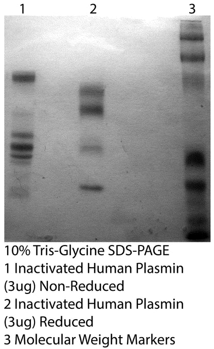 *Human Plasmin Inactivated Purified