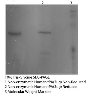 *Human tPA Purified Non-Enzymatic