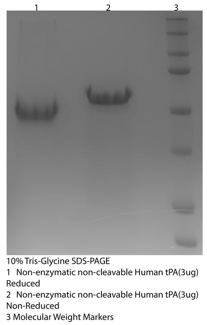 *Human tPA Purified Non-Enzymatic Non-Cleavable