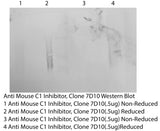 *Anti Mouse C1 Inhibitor Clone 7D10