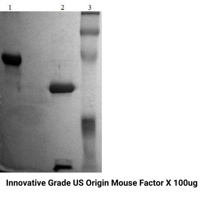 *Innovative Grade US Origin Mouse Factor X