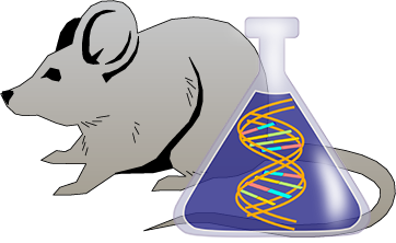 Mouse tPA Genetically Deficient Brain