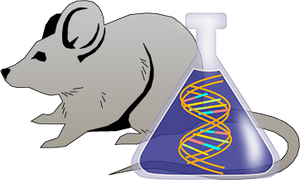 Mouse tPA Genetically Deficient Lung