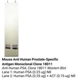 *Mouse Anti Human Prostate-Specific Antigen Monoclonal Clone 18D11