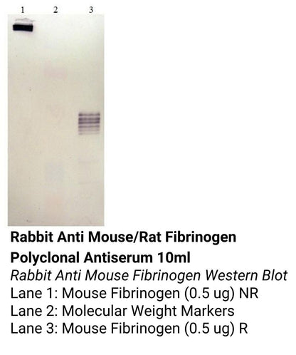 *Rabbit Anti Mouse/Rat Fibrinogen Polyclonal Antiserum