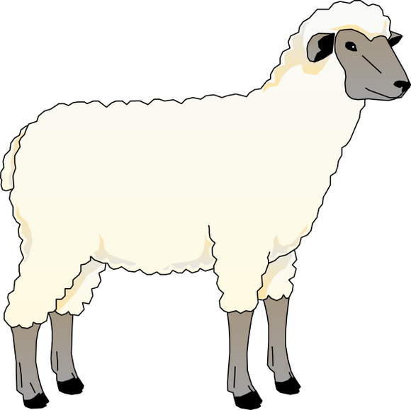 Innovative Grade US Origin Sheep Mesentery